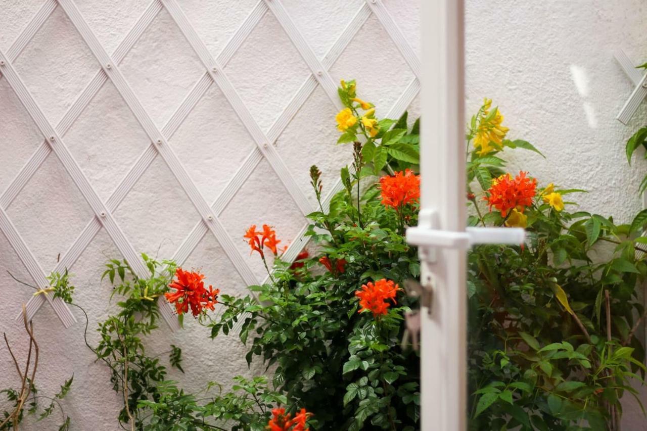 2 Bedroom With Patio Next To Avenida Da Liberdade